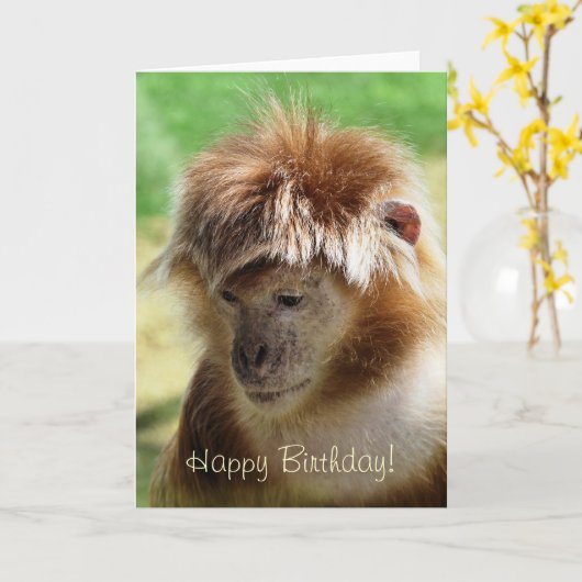 サル カード (黄色い花)