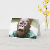 サル カード (黄色い花)