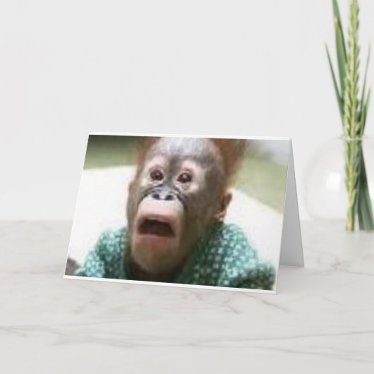 サル カード (正面)