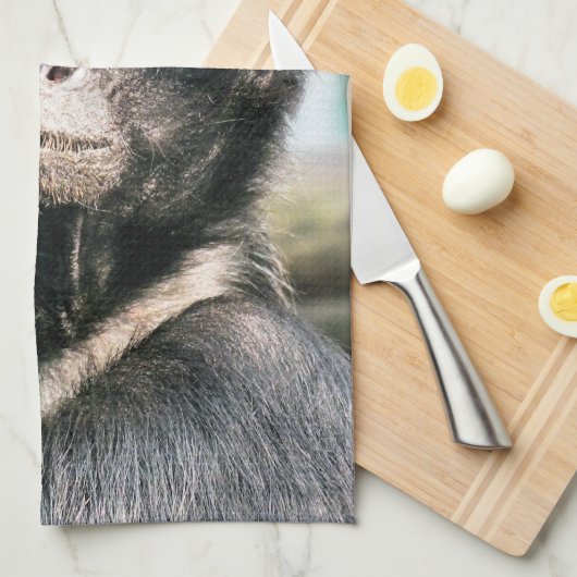 サル キッチンタオル (四つ折り)