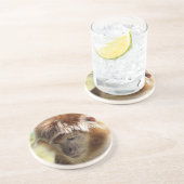 サル コースター (側面)