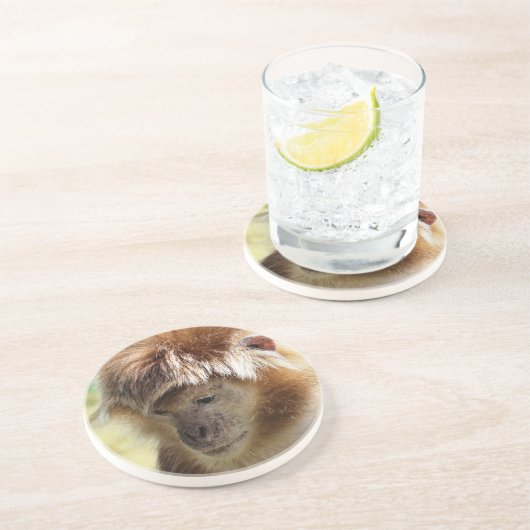 サル コースター (側面)