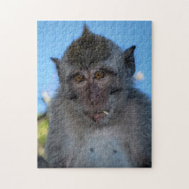 サル ジグソーパズル