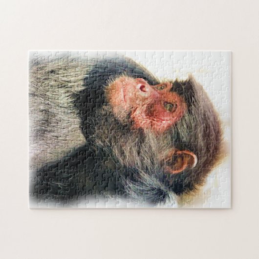 サル ジグソーパズル (横)