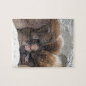 サル ジグソーパズル (横)