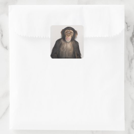 サル スクエアシール (バッグ)