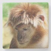 サル ストーンコースター (正面)