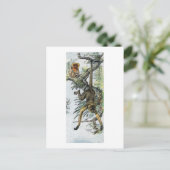 サル – スパイダーとタマリン ポストカード (スタンド正面)