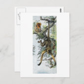 サル – スパイダーとタマリン ポストカード (正面/裏面)