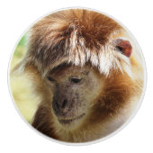 サル セラミックノブ (正面)