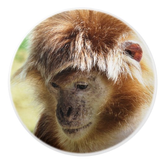 サル セラミックノブ (正面)