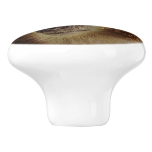 サル セラミックノブ (側面)