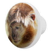 サル セラミックノブ (右)