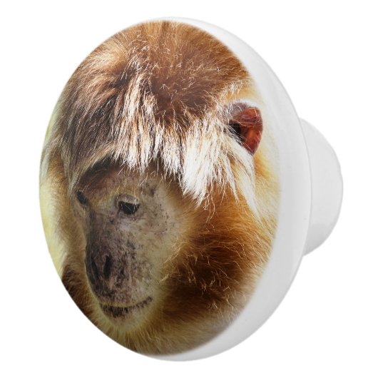 サル セラミックノブ (右)