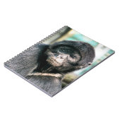 サル ノートブック (左側)