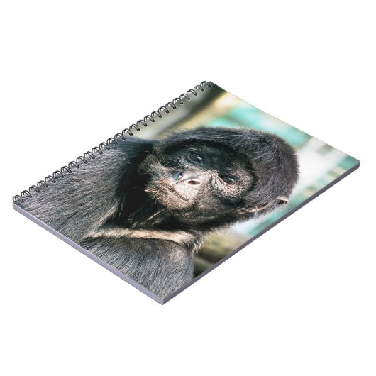 サル ノートブック (左側)