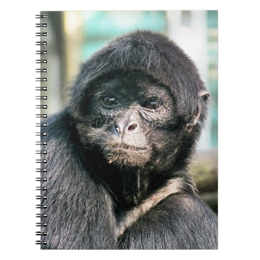 サル ノートブック (正面)