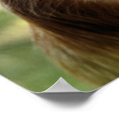 サル ポスター (角)