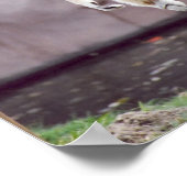 サル ポスター (角)