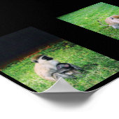 サル ポスター (角)