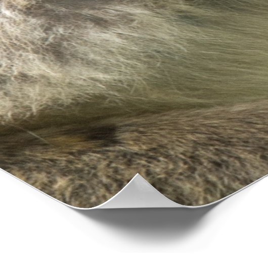 サル ポスター (角)