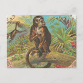 サル ポストカード (正面)