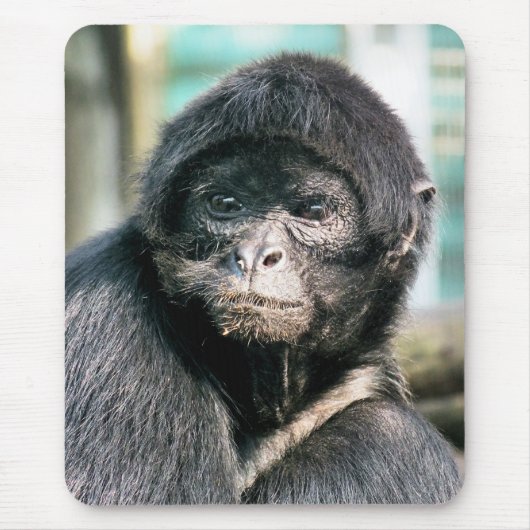 サル マウスパッド (正面)