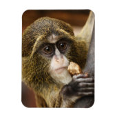 サル マグネット (縦)