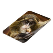 サル マグネット (左側)
