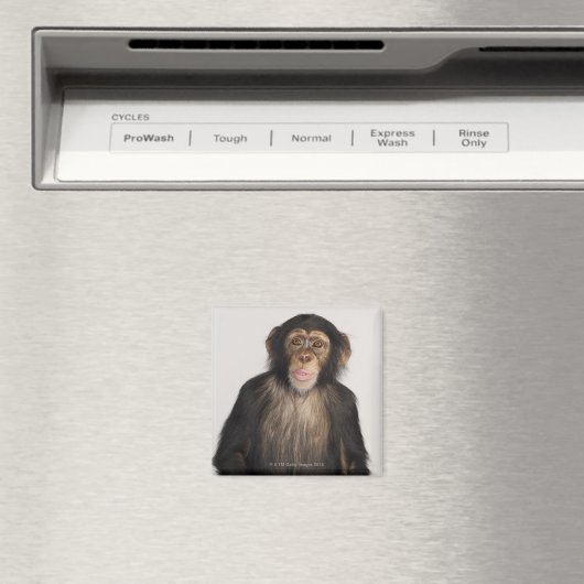 サル マグネット (インサイチュ (食洗機))