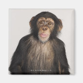 サル マグネット (正面)