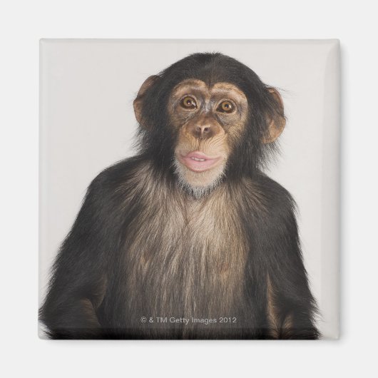 サル マグネット (正面)