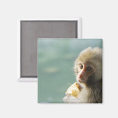 サル マグネット (正面/裏面)