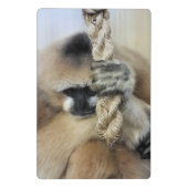 サル ミニクリップボード (裏面)