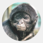 サル ラウンドシール (正面)