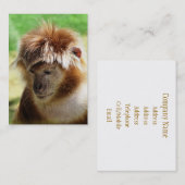 サル 名刺 (正面/裏面)