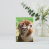 サル 名刺 (スタンド正面)