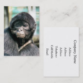 サル 名刺 (正面/裏面)