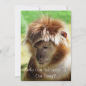 サル 招待状 (正面)