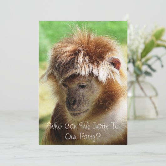 サル 招待状 (スタンド正面)