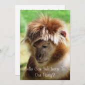 サル 招待状 (正面/裏面)