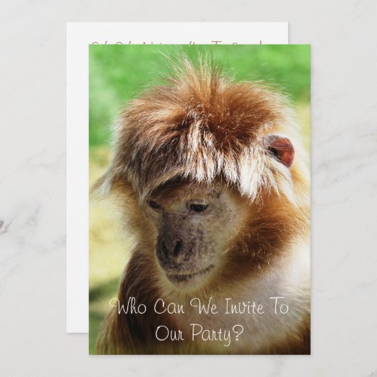 サル 招待状 (正面/裏面)
