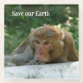 サル – 祖父 ガラスコースター (正面)