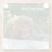 サル – 祖父 ガラスコースター (裏面)