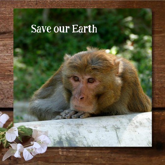 サル – 祖父 ガラスコースター