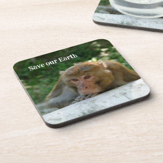 サル – 祖父 コースター (左側)