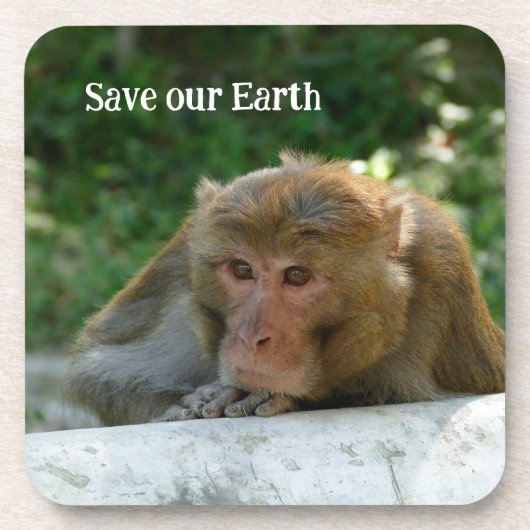 サル – 祖父 コースター (正面)