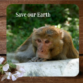 サル – 祖父 コースター