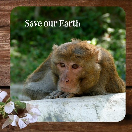 サル – 祖父 コースター