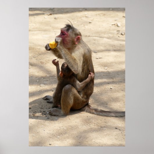 サル – 私も欲しい ポスター (正面)